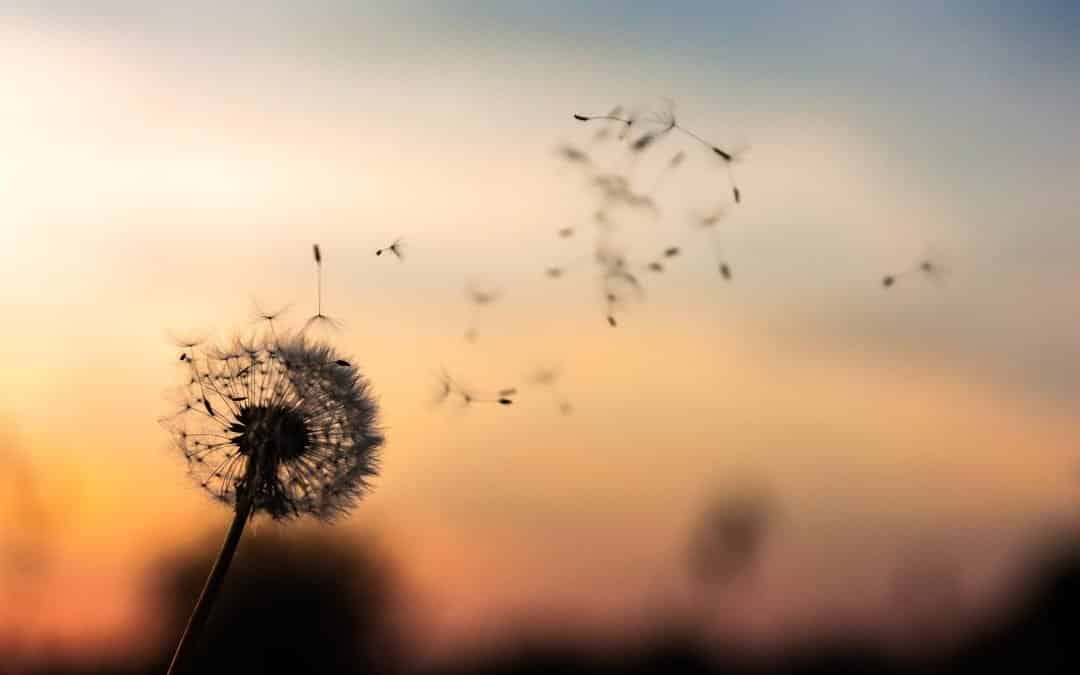 How to Stop Doubting Yourself | Epiphany Video